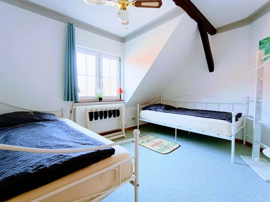 Ruhiges Exzellenz-Appartement Diana Im Elb-Urstromtal - Fast Wlan, Good For Long-Terms Bleckede Buitenkant foto