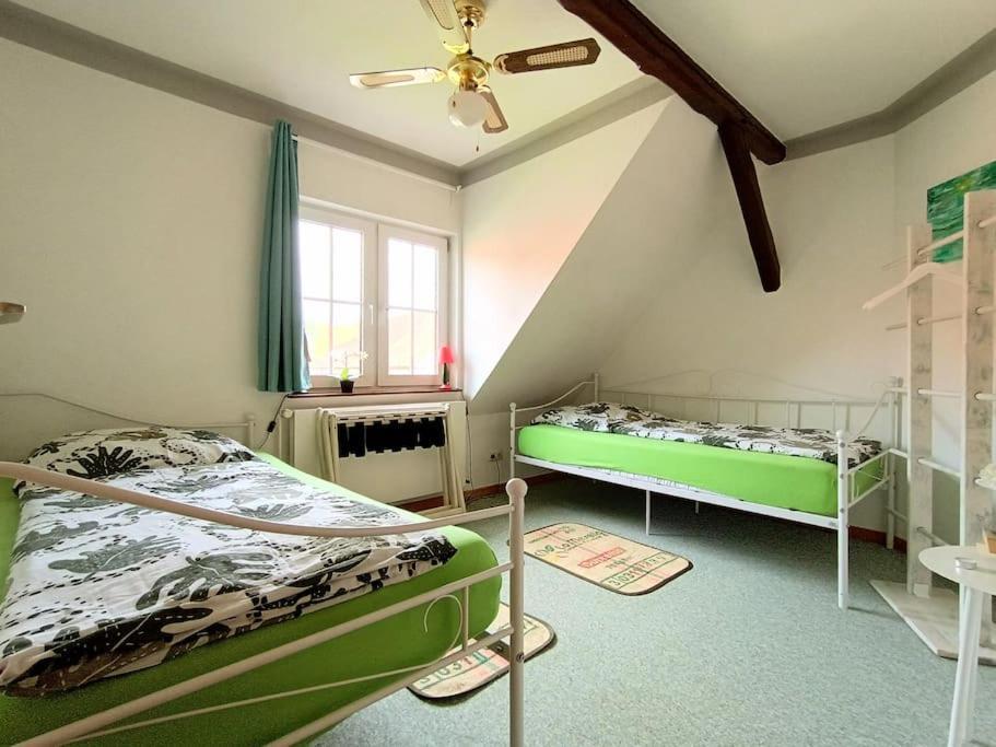 Ruhiges Exzellenz-Appartement Diana Im Elb-Urstromtal - Fast Wlan, Good For Long-Terms Bleckede Buitenkant foto