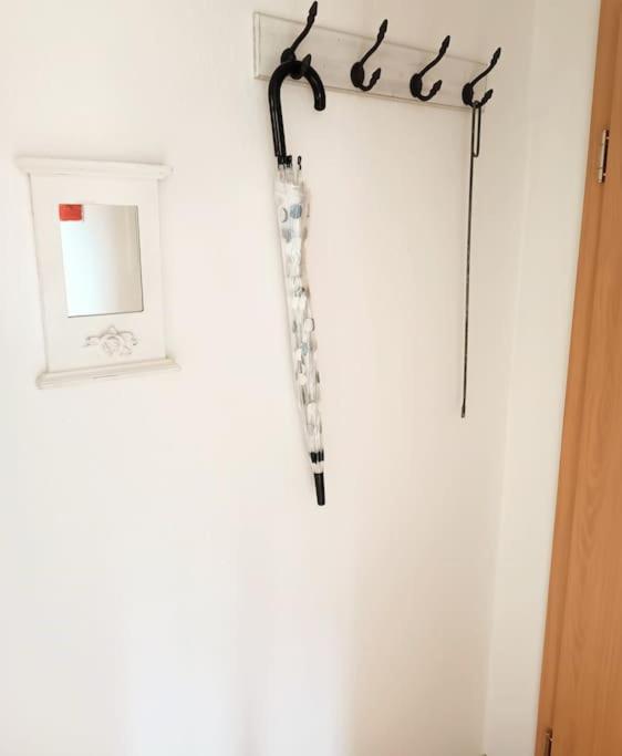 Ruhiges Exzellenz-Appartement Diana Im Elb-Urstromtal - Fast Wlan, Good For Long-Terms Bleckede Buitenkant foto