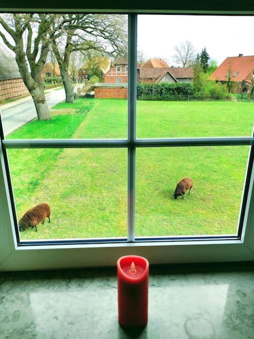 Ruhiges Exzellenz-Appartement Diana Im Elb-Urstromtal - Fast Wlan, Good For Long-Terms Bleckede Buitenkant foto