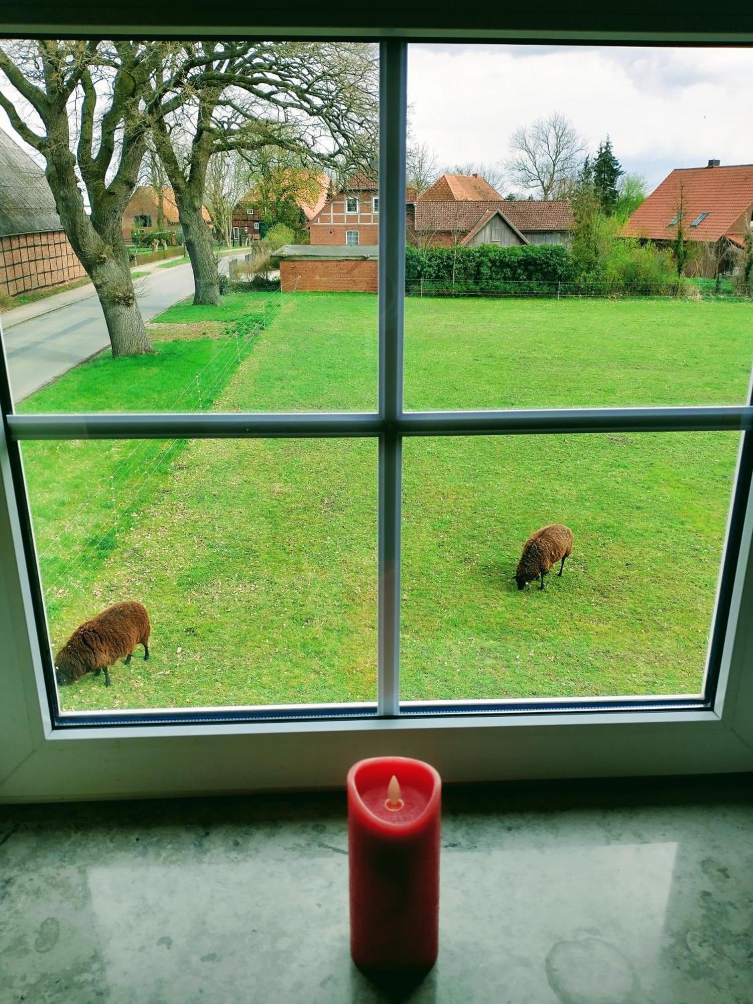 Ruhiges Exzellenz-Appartement Diana Im Elb-Urstromtal - Fast Wlan, Good For Long-Terms Bleckede Buitenkant foto